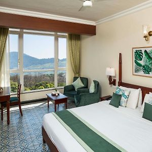 Deluxe Double or Twin Room Mountain View